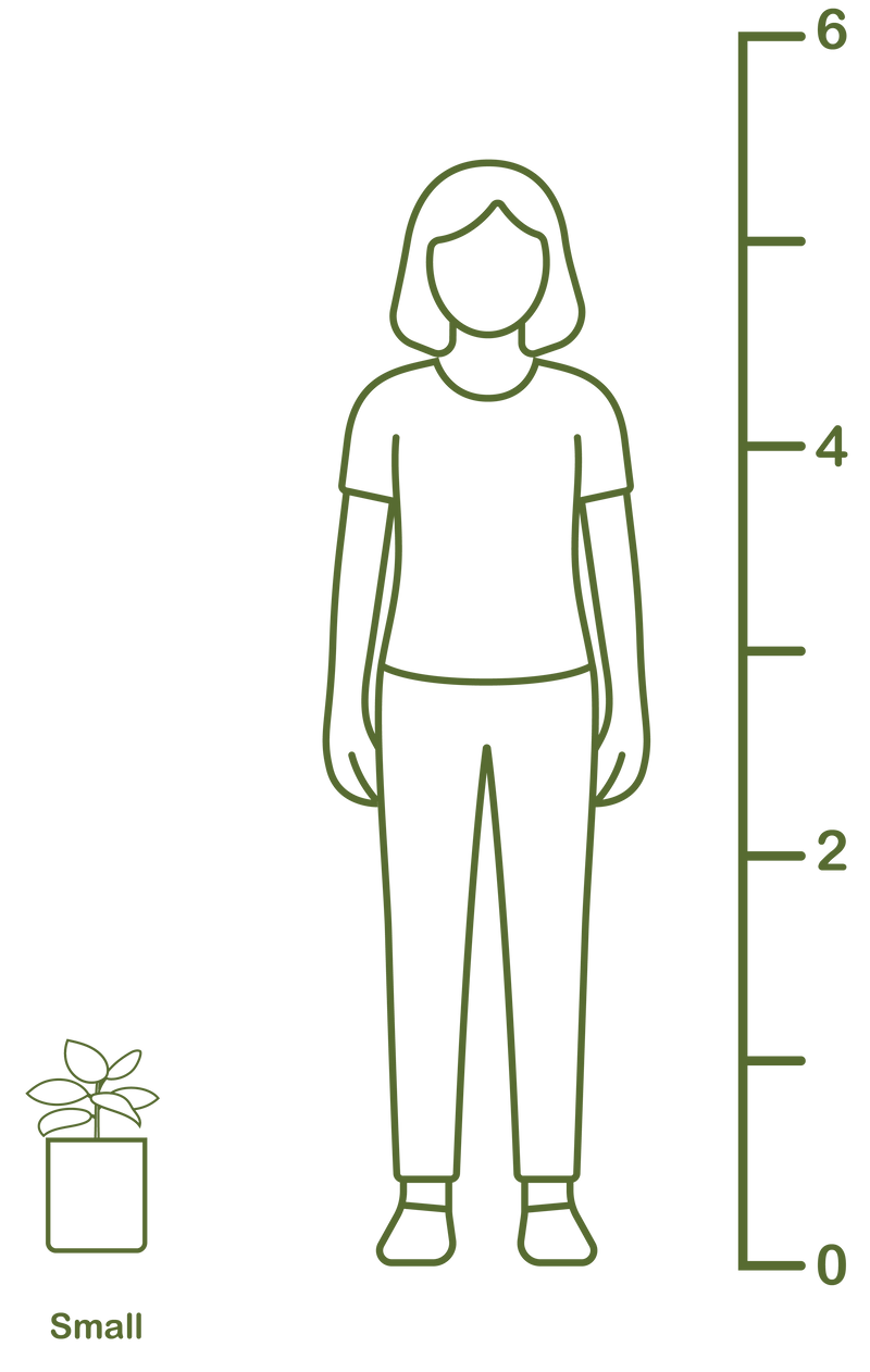Plant size diagram