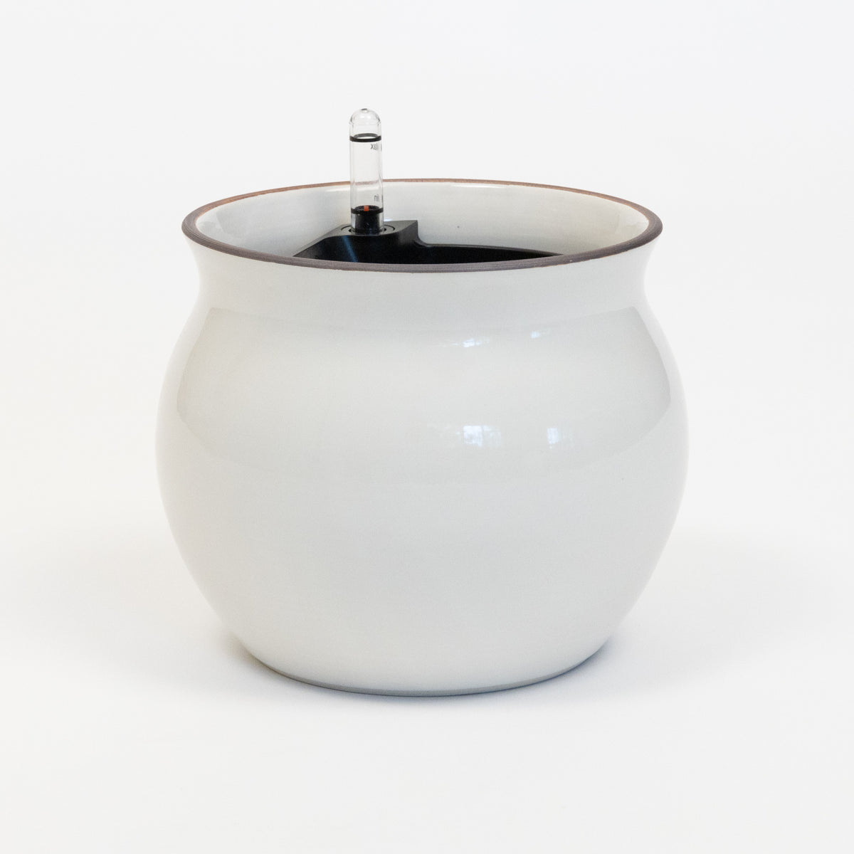 Leucadia Self-Watering Planter