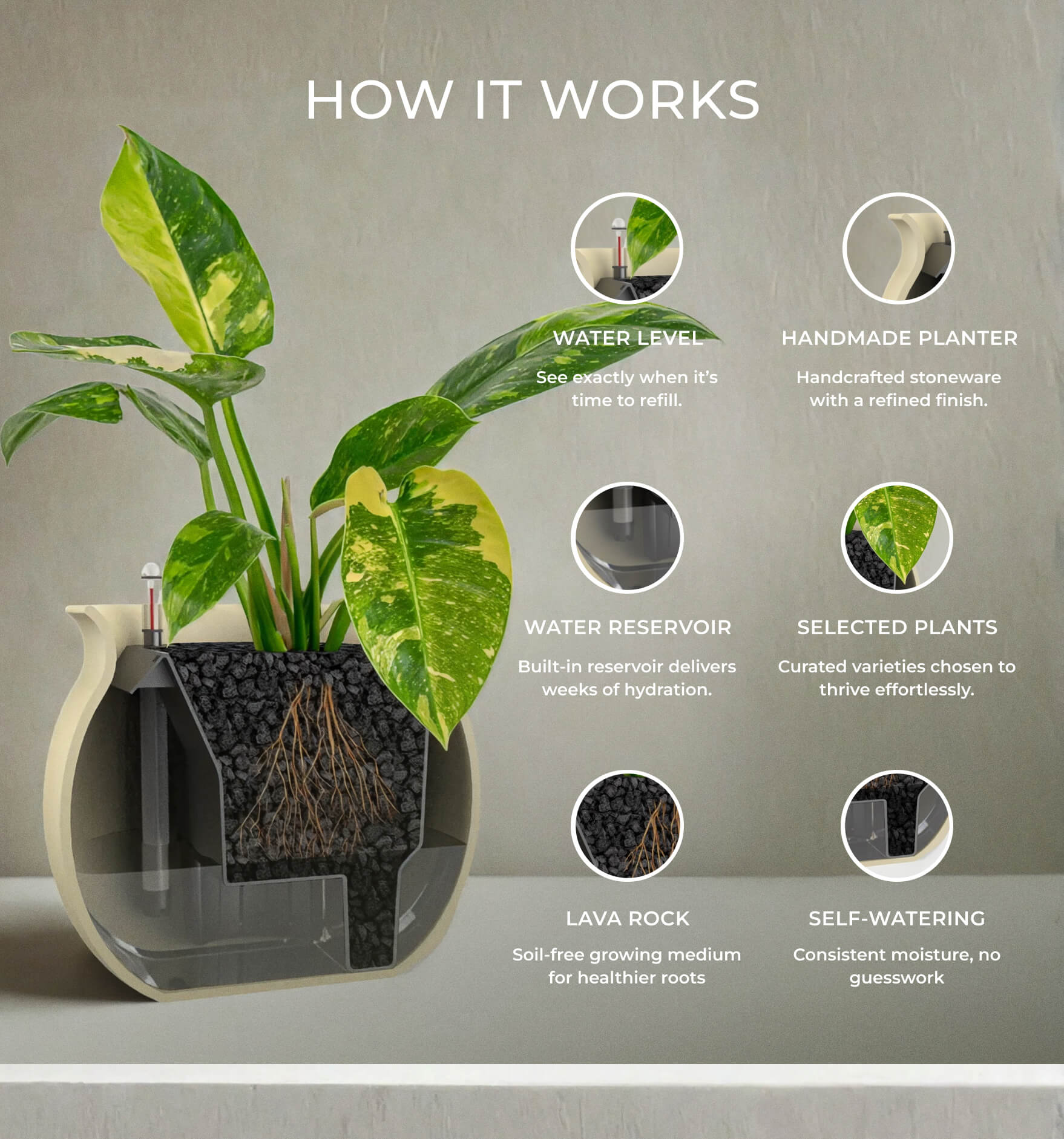 Self-watering Planter Pacific White