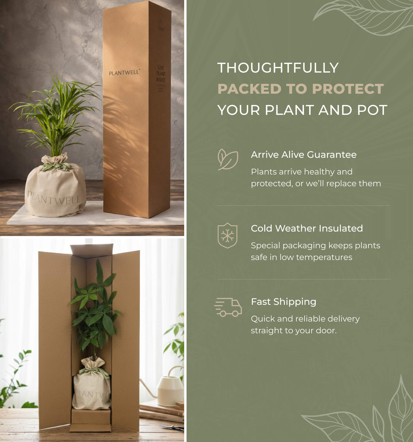 potted plants delivered to your door Self-watering Planter Leucadia Natural Clay – Plantwell