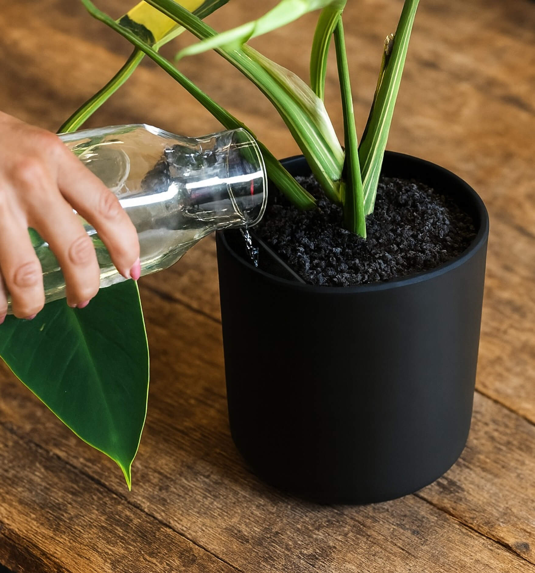 black self watering planter Self-watering Planter Pacific White – Plantwell
