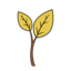 Yellow Leaves